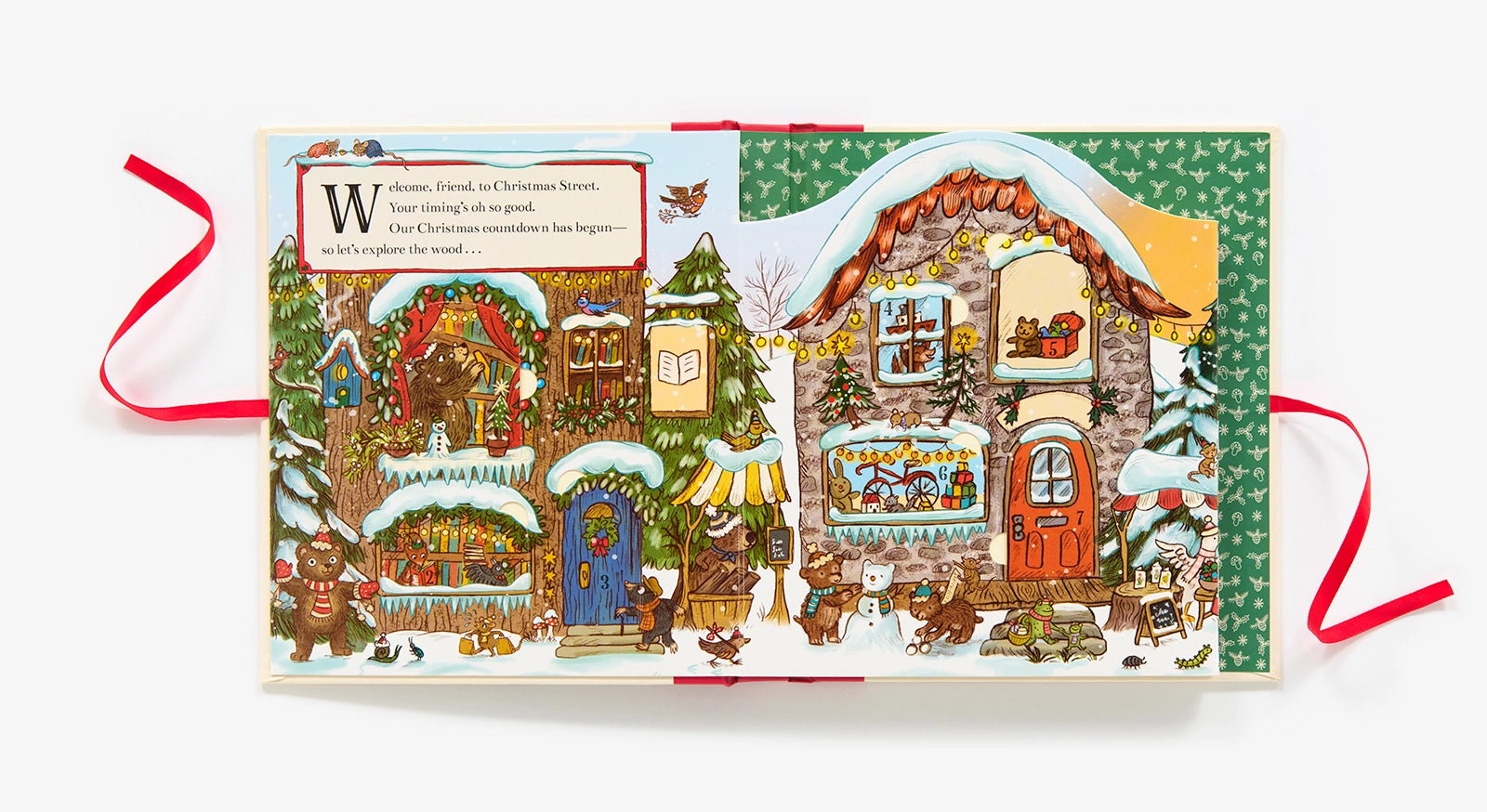 CHIRSTMAS IS COMING TO TOWN BOOK