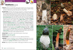 MUSHROOMS OF THE UPPER MIDWEST