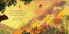 SOMEWHERE FOR LITTLE BEAR - BOOK