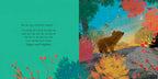 SOMEWHERE FOR LITTLE BEAR - BOOK