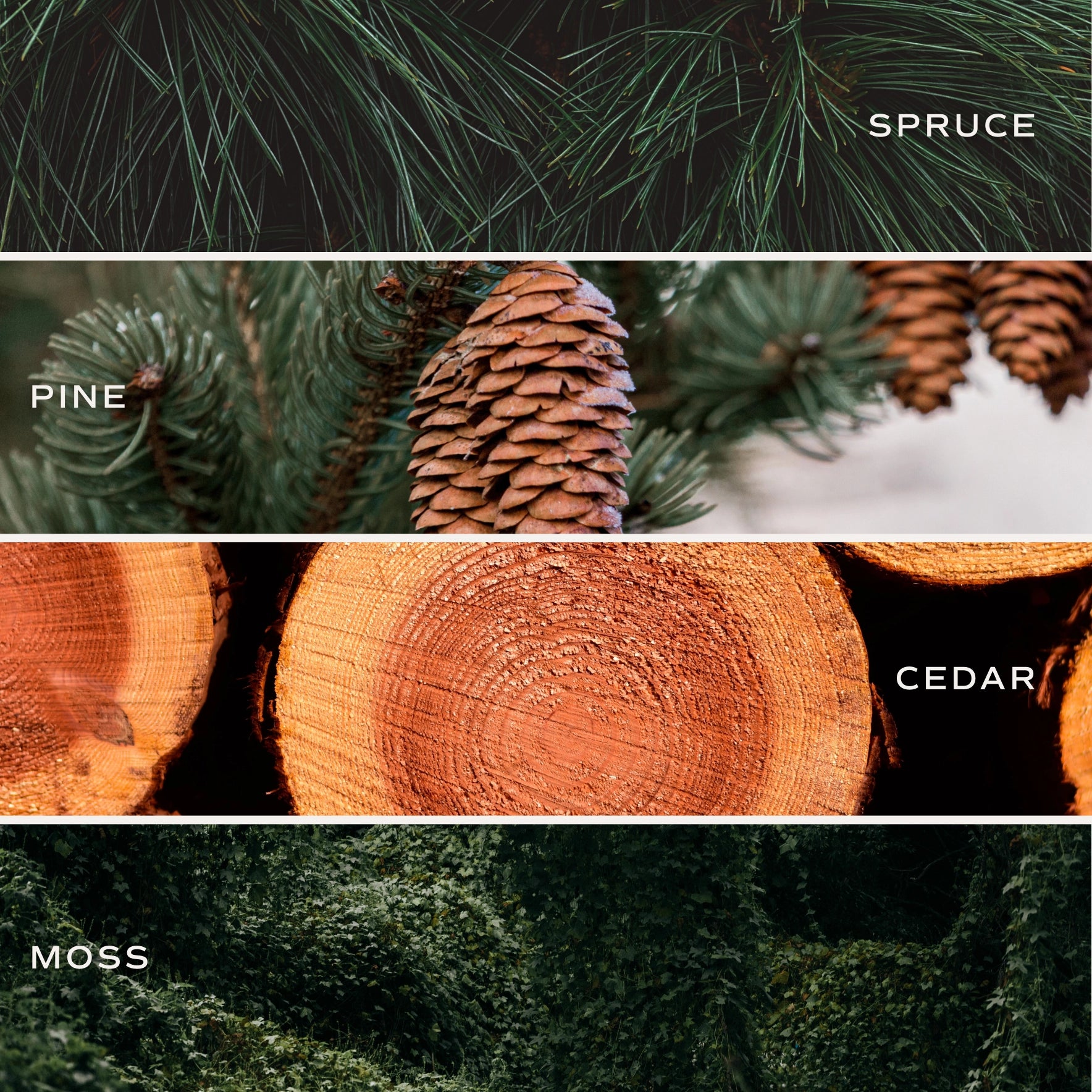 CHRISTMAS TREE SOY CANDLE