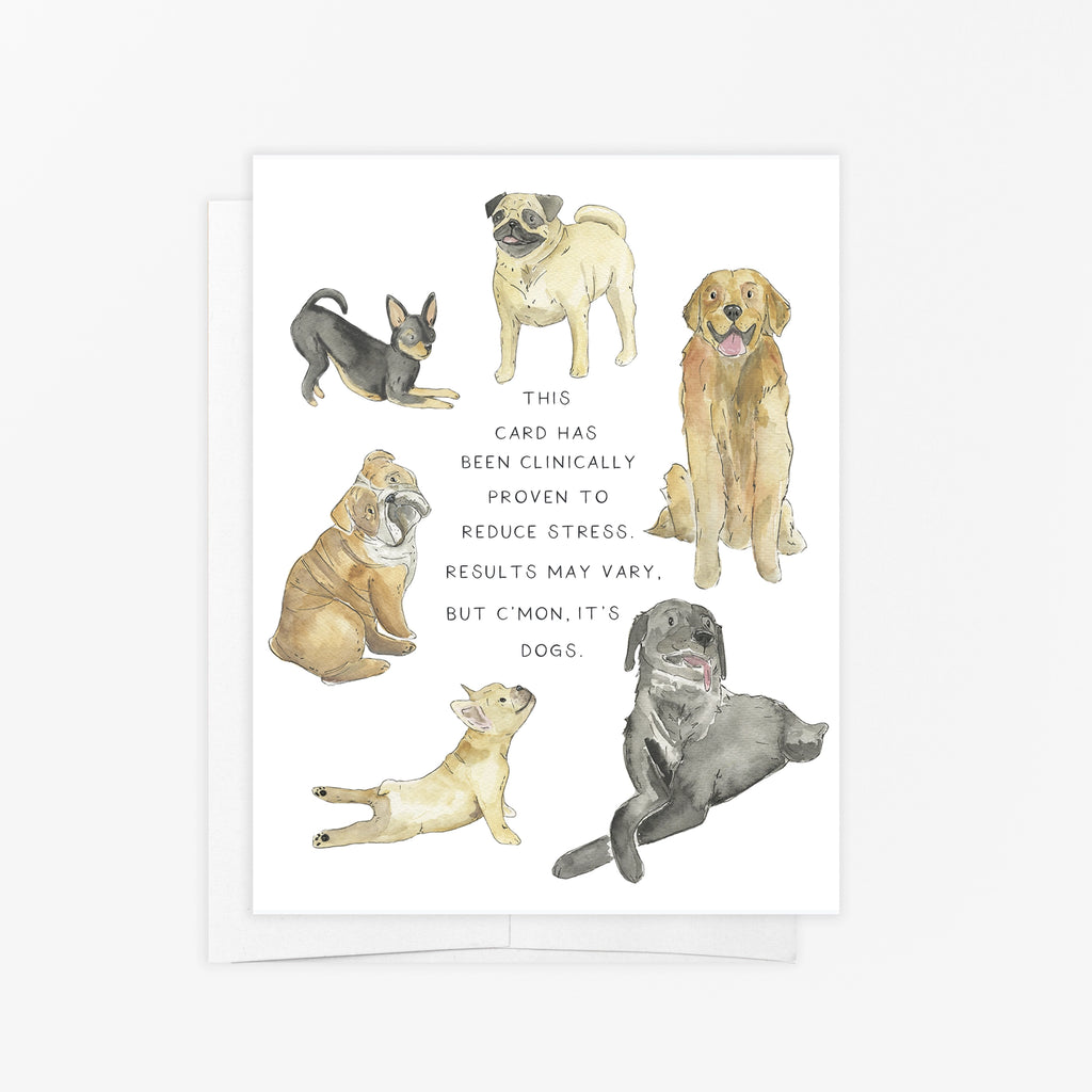 DOG CURE DOG CARD