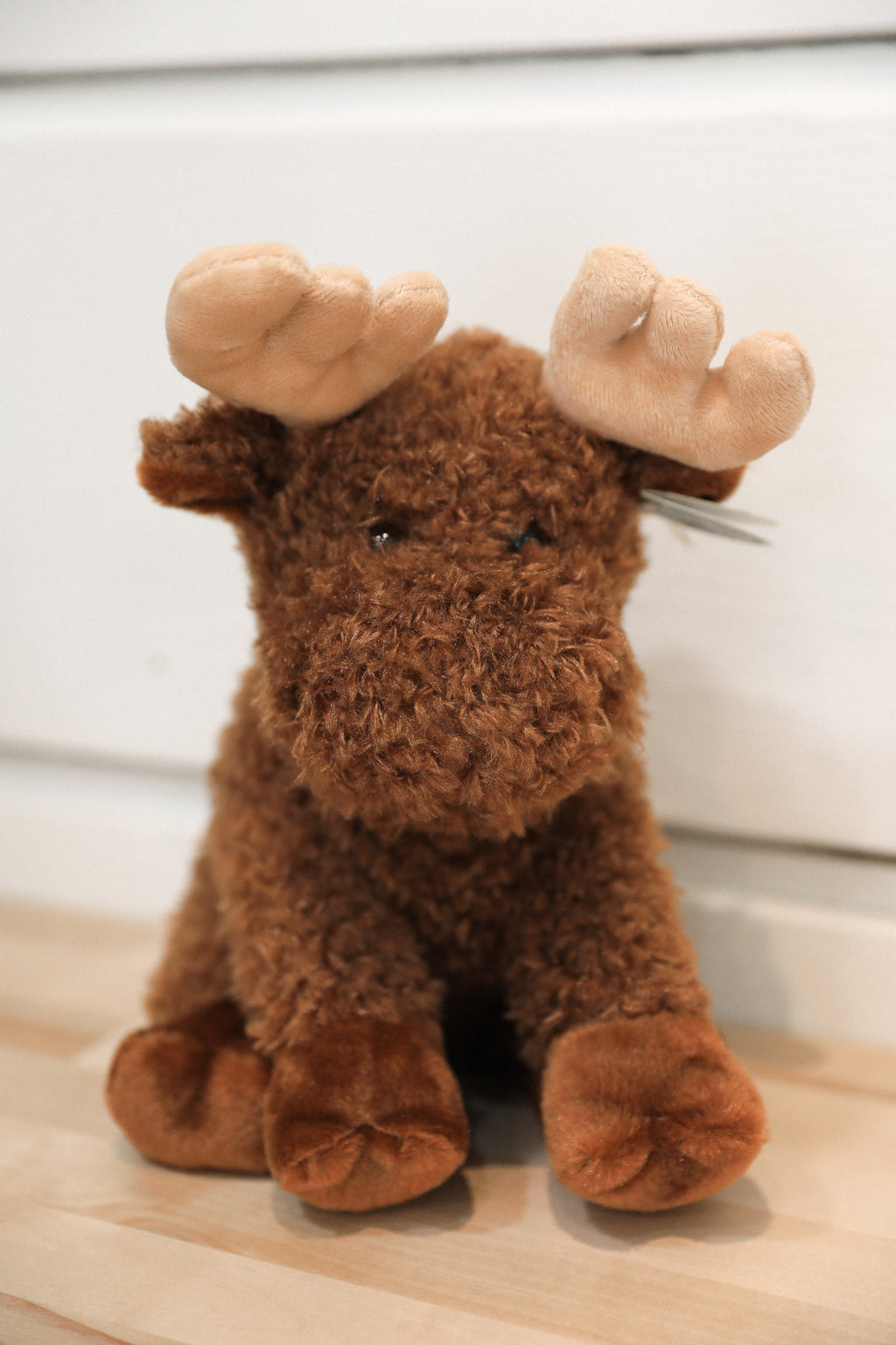 MORTON THE MOOSE