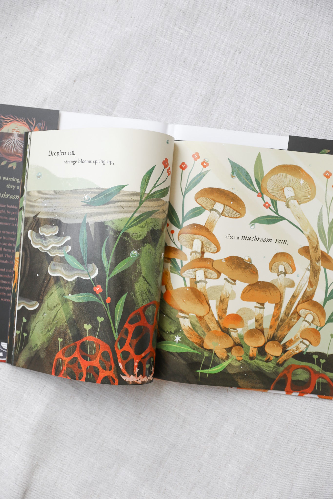 MUSHROOM RAIN BOOK