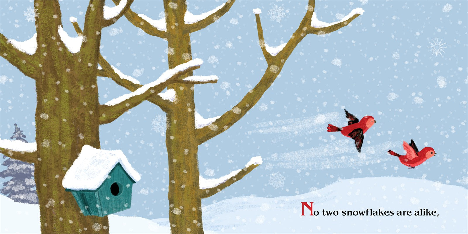 NO TWO ALIKE - CHILDREN'S BOOK