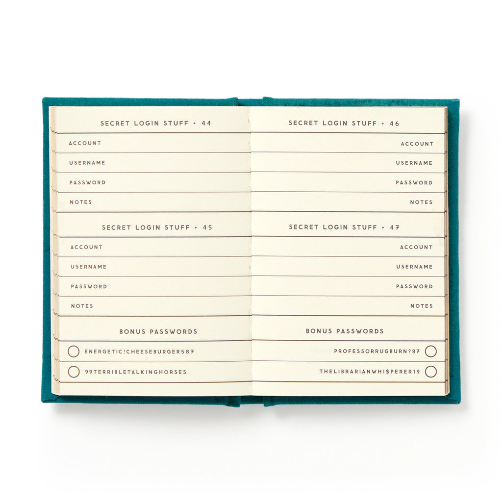 DEFINITELY NOT MY PASSWORDS DIARY