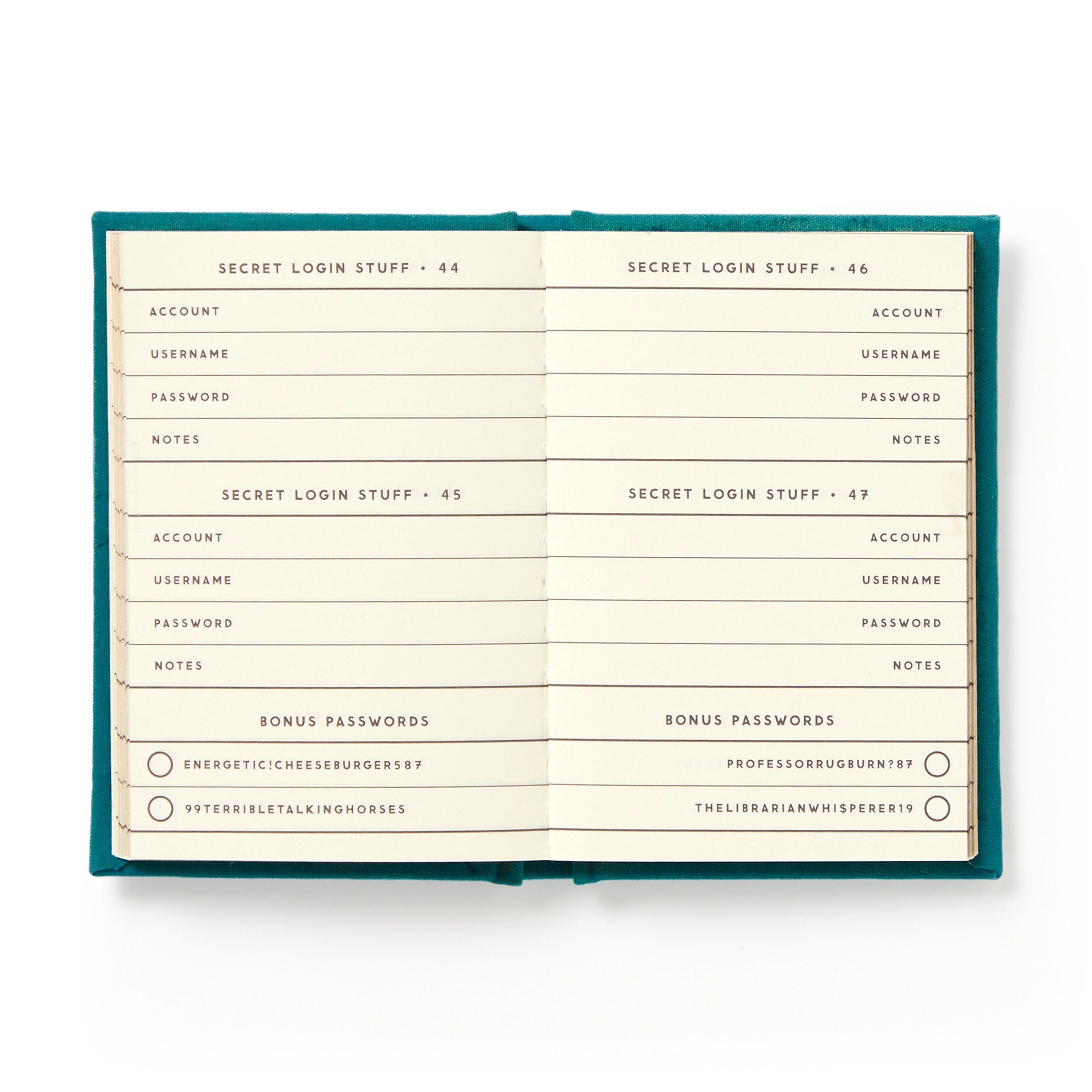 DEFINITELY NOT MY PASSWORDS DIARY