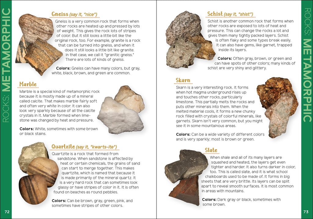 ROCK COLLECTING FOR KIDS