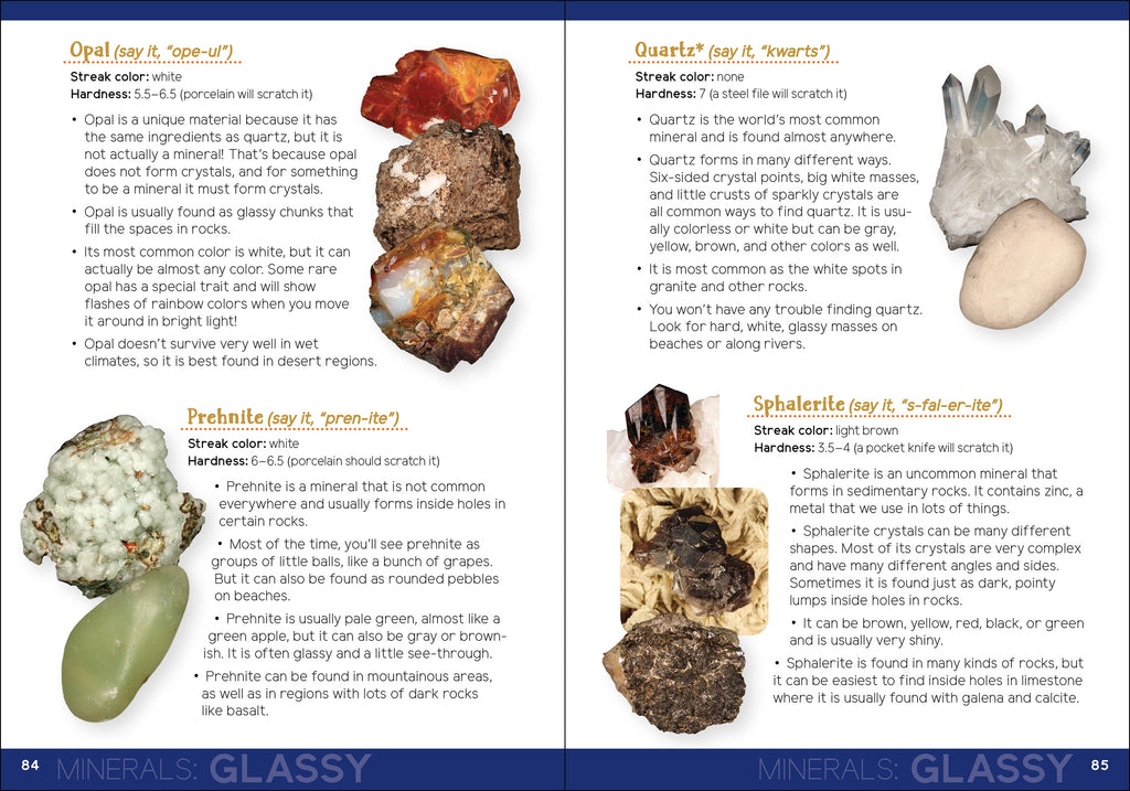 ROCK COLLECTING FOR KIDS