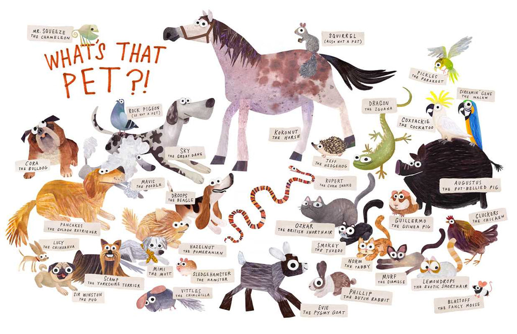 SOME PETS - CHILDREN'S BOOK