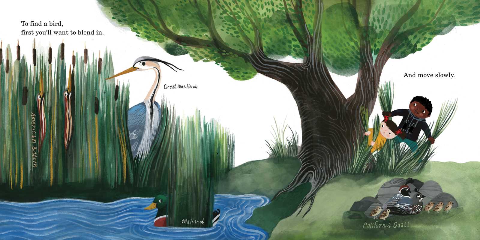 HOW TO FIND A BIRD - CHILDREN'S BOOK