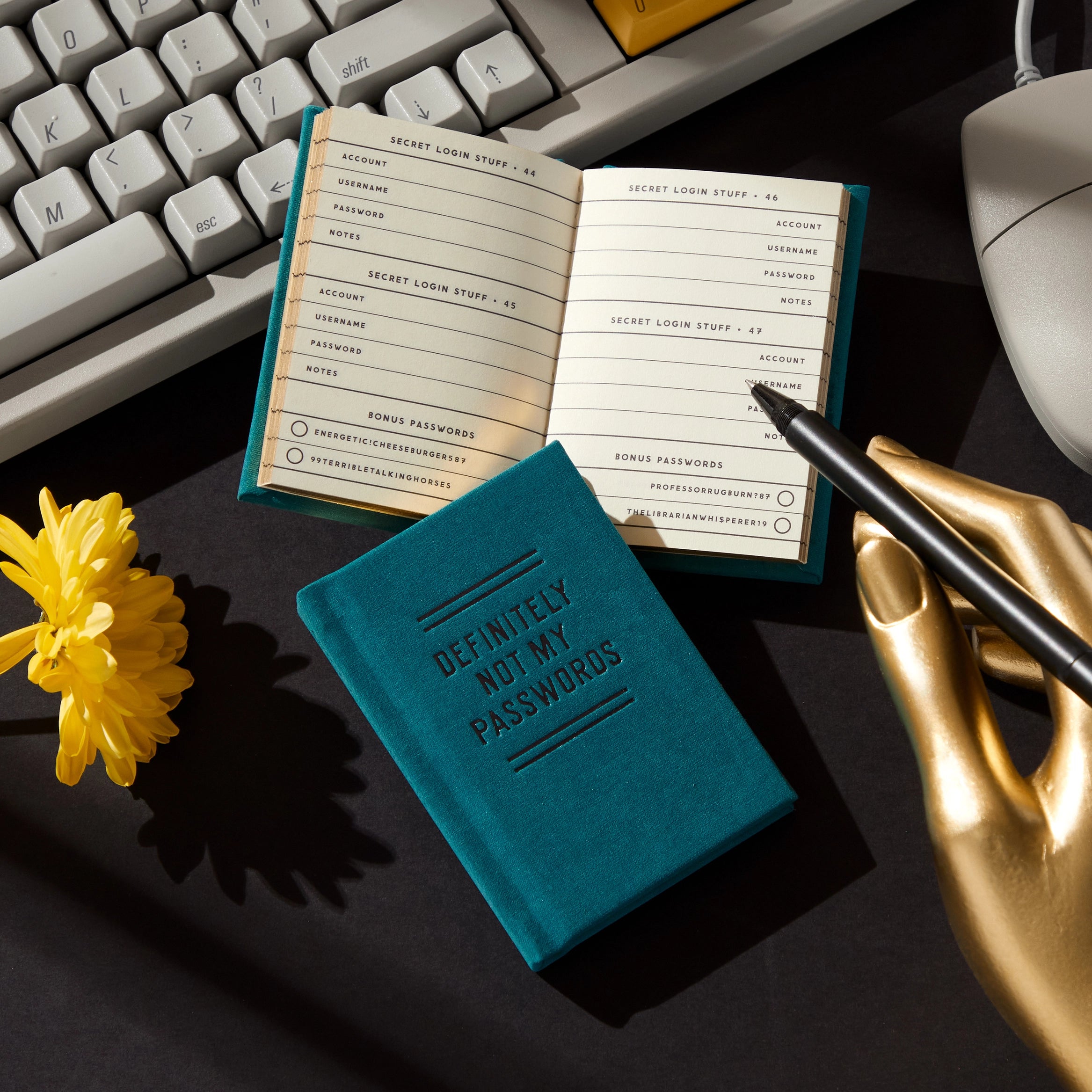 DEFINITELY NOT MY PASSWORDS DIARY