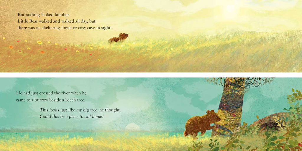 SOMEWHERE FOR LITTLE BEAR - BOOK