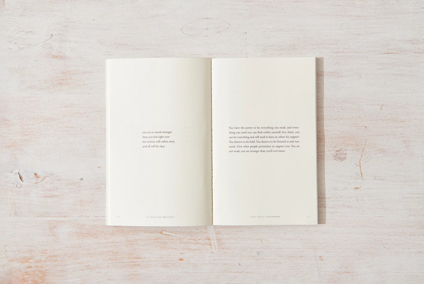 STAY UNTIL TOMORROW BOOK
