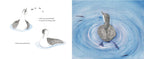 LITTLE LOON FINDS HIS VOICE - CHILDREN'S BOOK