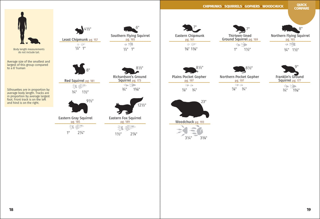 MAMMALS OF MN FIELD GUIDE