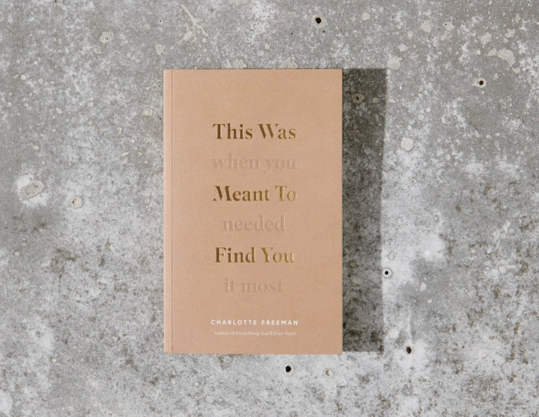 THIS WAS MEANT TO FIND YOU - BOOK