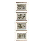 FRAMED BOTANICAL PRINT