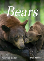 BEAR PLAYING CARDS