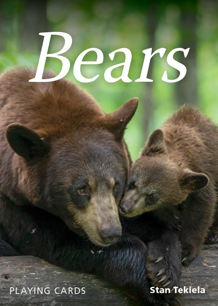 BEAR PLAYING CARDS