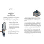 BIRD LORE BOOK
