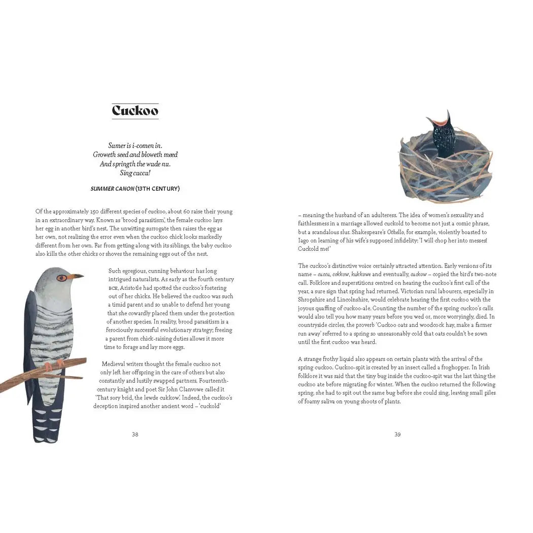 BIRD LORE BOOK