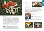 MUSHROOMS + FUNGI FOR KIDS
