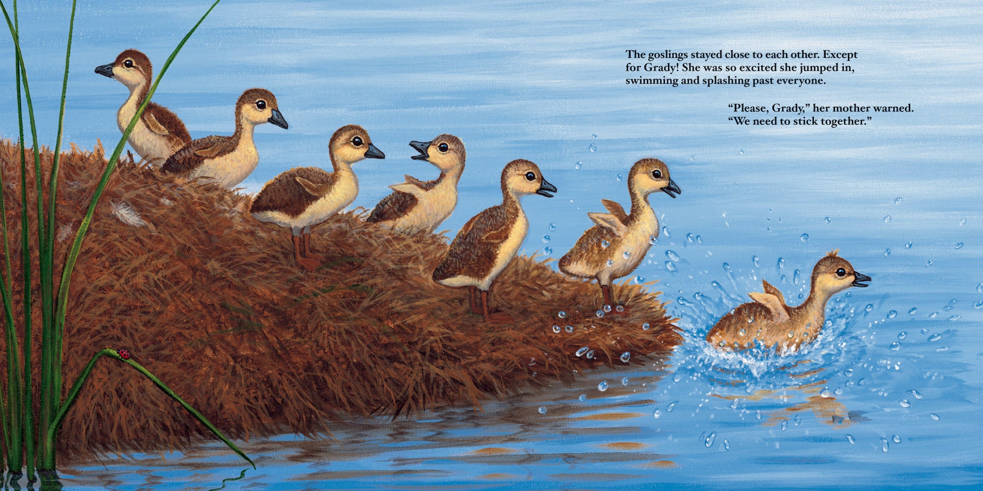 GRADY THE GOOSE BOOK