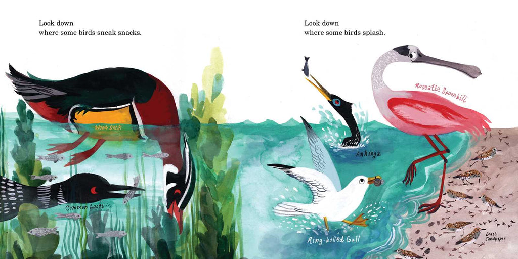 HOW TO FIND A BIRD - CHILDREN'S BOOK
