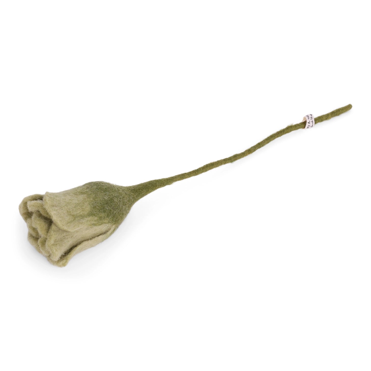 WOOL TULIP