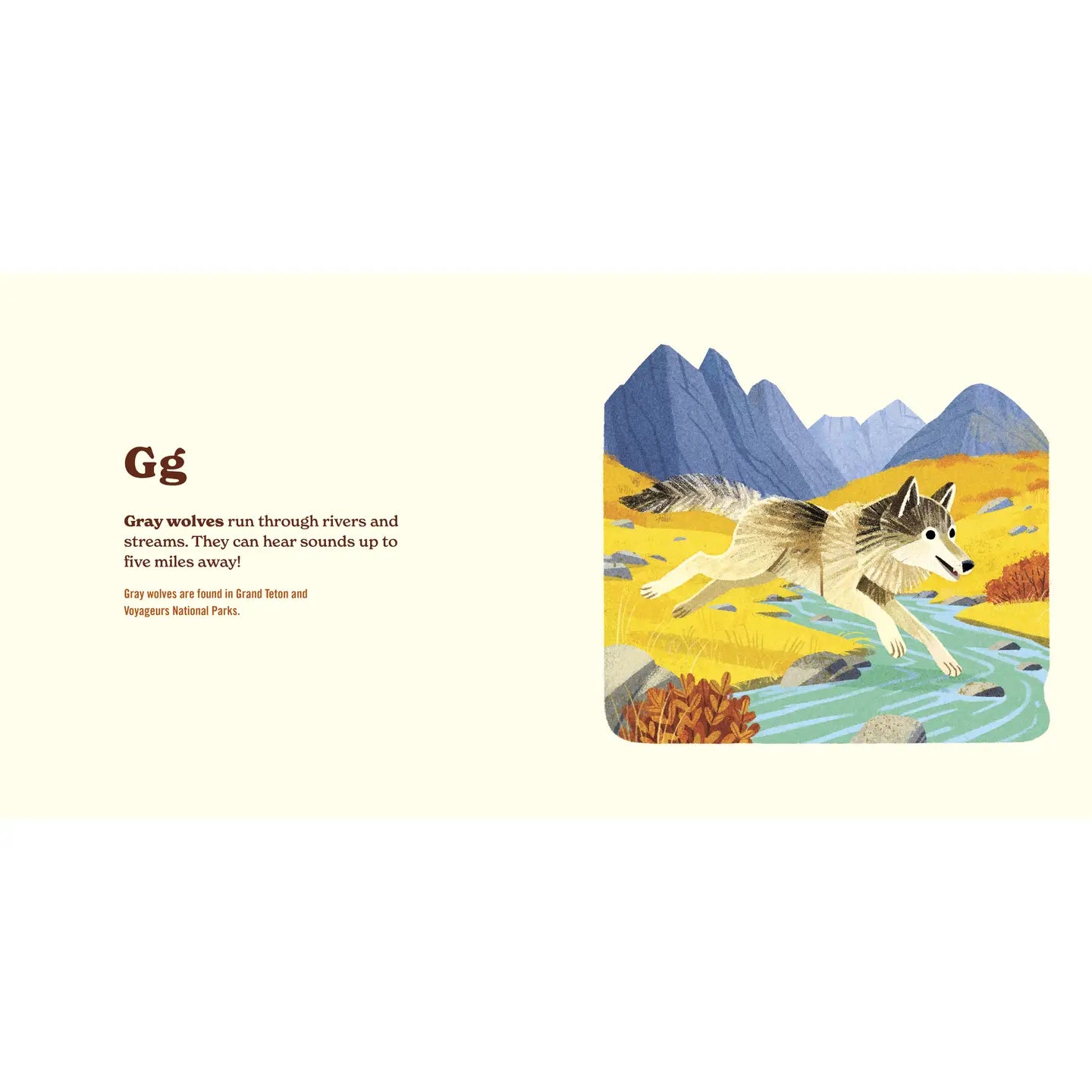 ANIMALS OF THE NATIONAL PARKS - CHILDREN'S BOOK