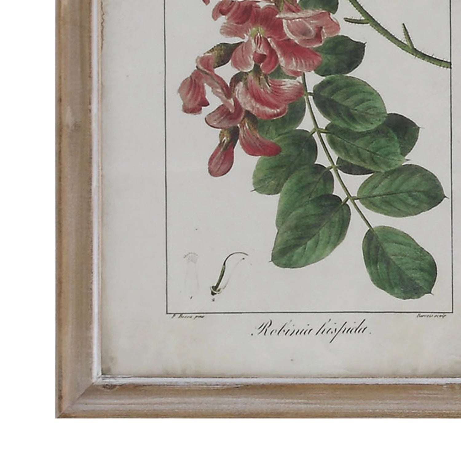 FLORAL IMAGE WALL DECOR