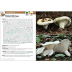 MUSHROOMS OF THE UPPER MIDWEST