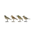 BIRD WITH METAL FEET