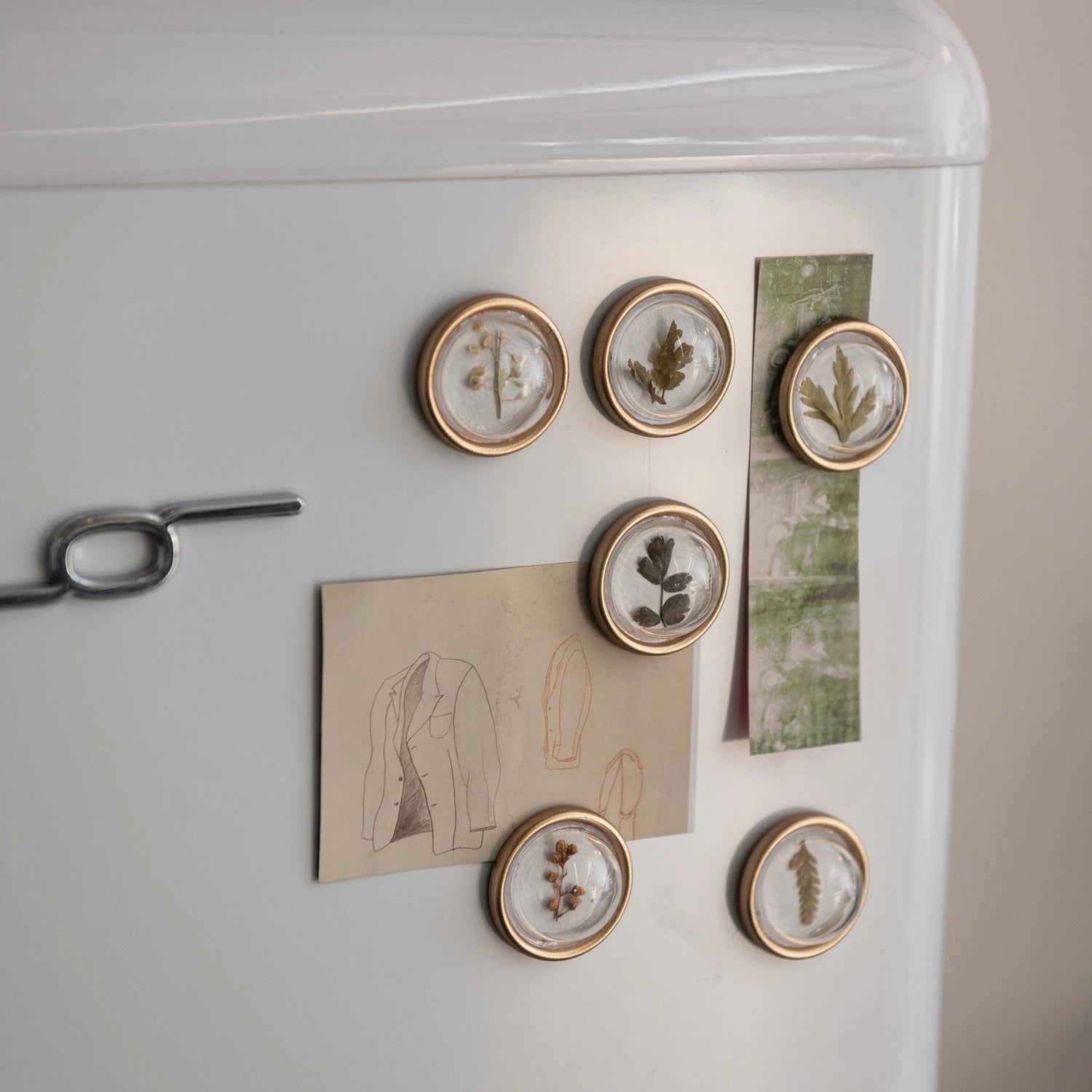 NATURAL BOTANICAL RESIN CONVEX MAGNETS