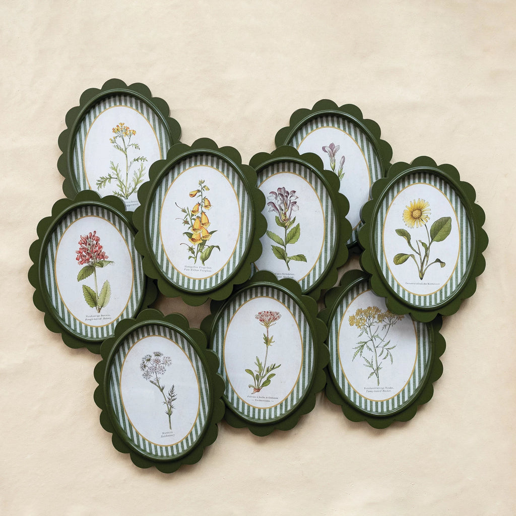 OVAL FRAMED BOTANICAL PRINTS