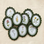OVAL FRAMED BOTANICAL PRINTS