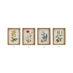 FRAMED FLOWER PRINTS