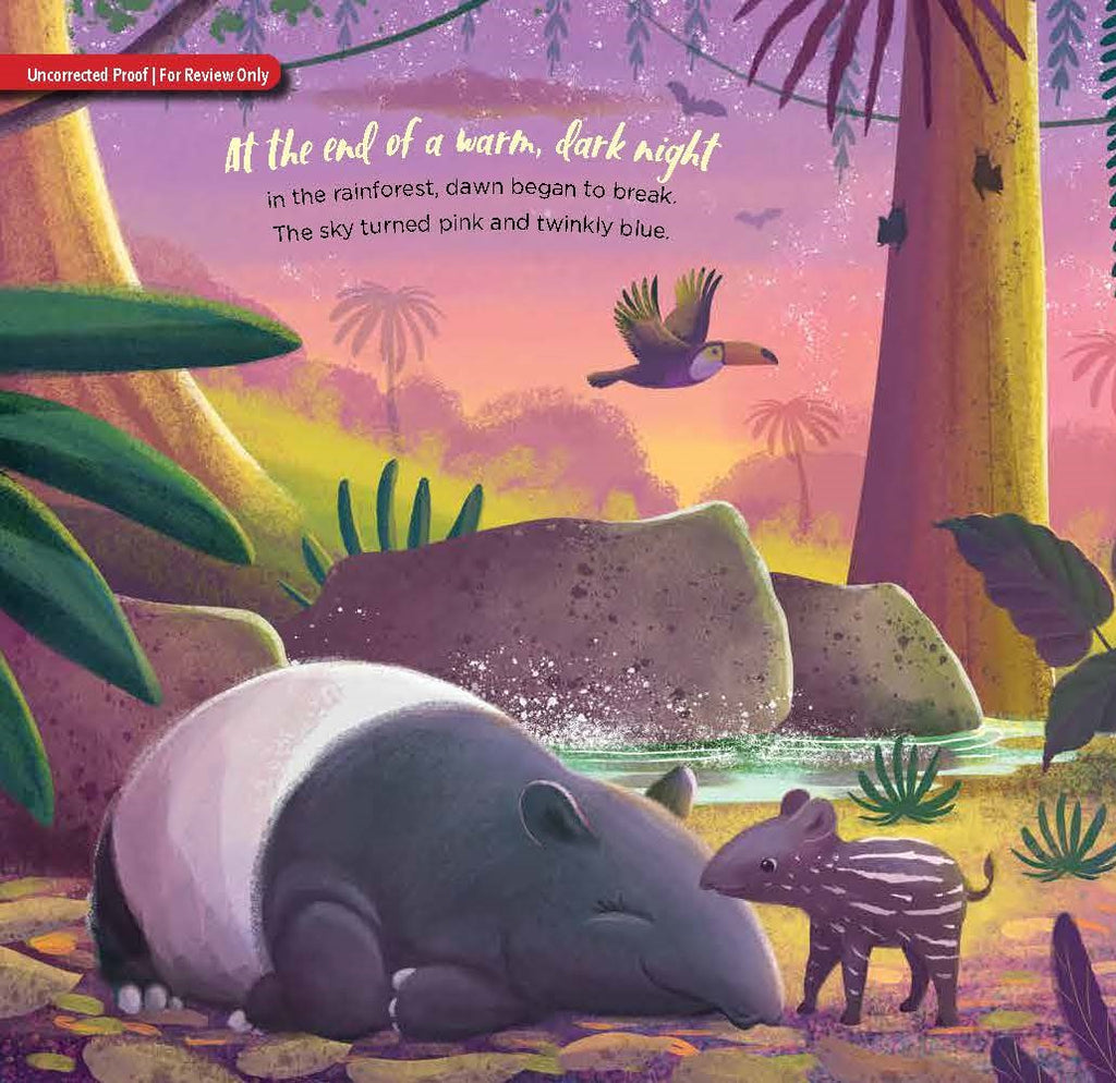 BABY BAT BEDTIME BOOK