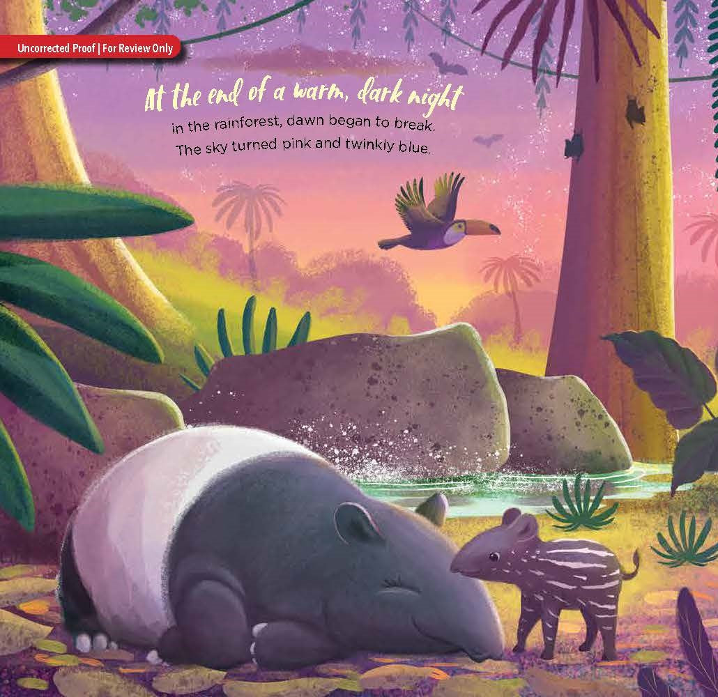 BABY BAT BEDTIME BOOK