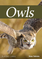 OWLS PLAYING CARDS