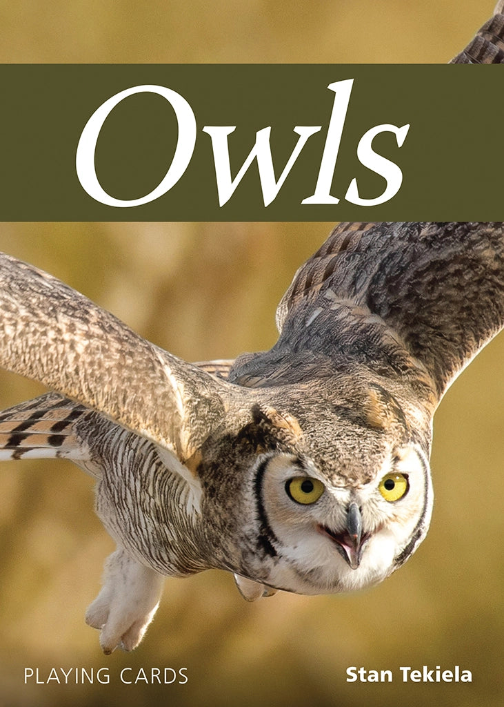 OWLS PLAYING CARDS