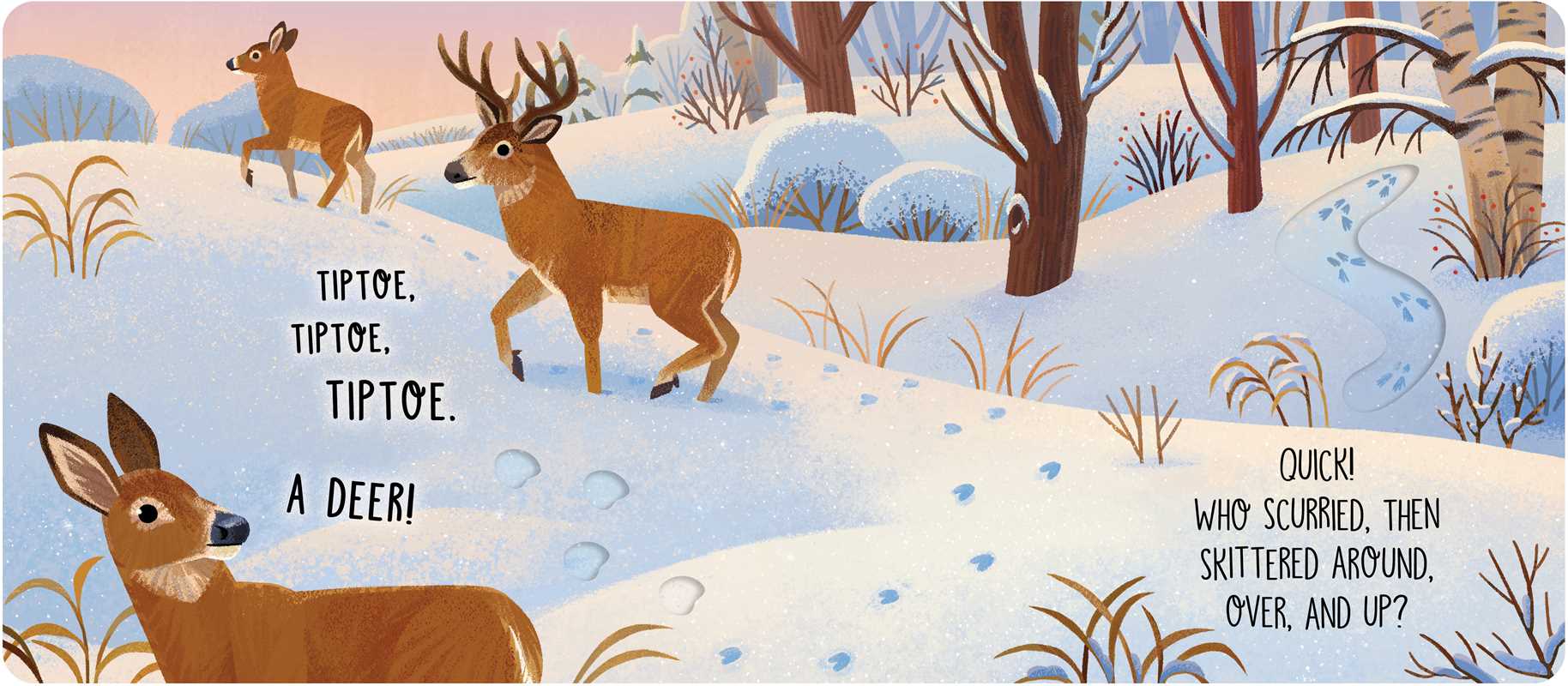 WHOSE PRINTS? - CHILDREN'S BOOK