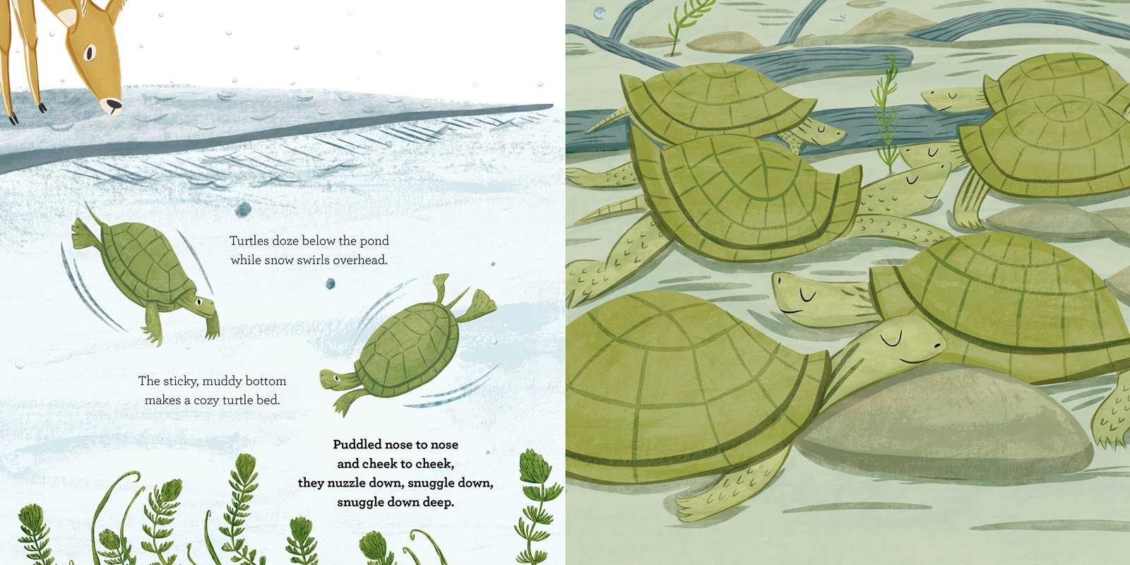 SNUGGLE DOWN DEEP - CHILDREN'S BOOK