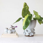 TERRACOTTA VASES