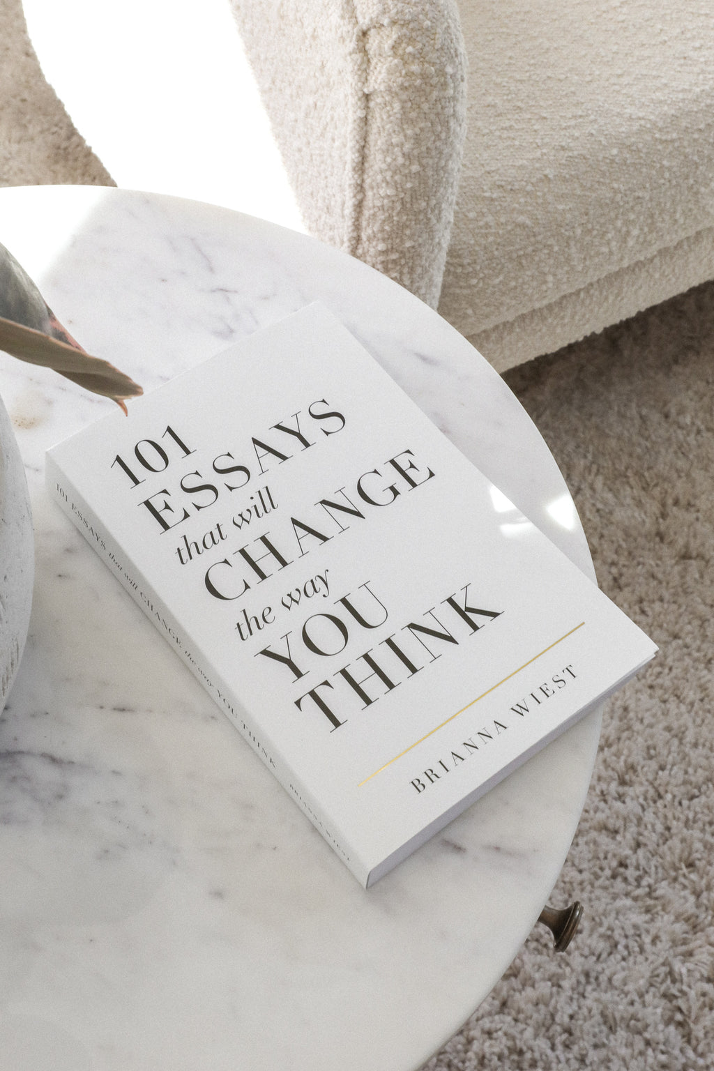 101 ESSAYS BOOK