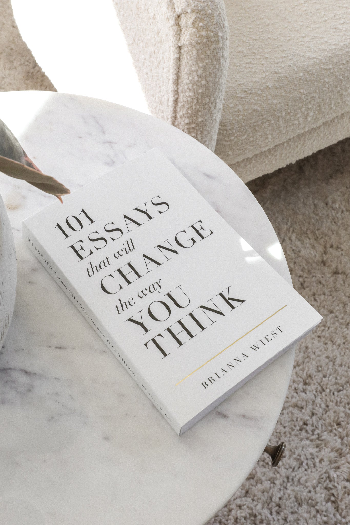 101 ESSAYS BOOK